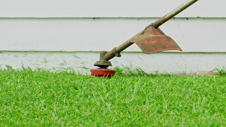 Best Hedge Trimming  in Price, UT