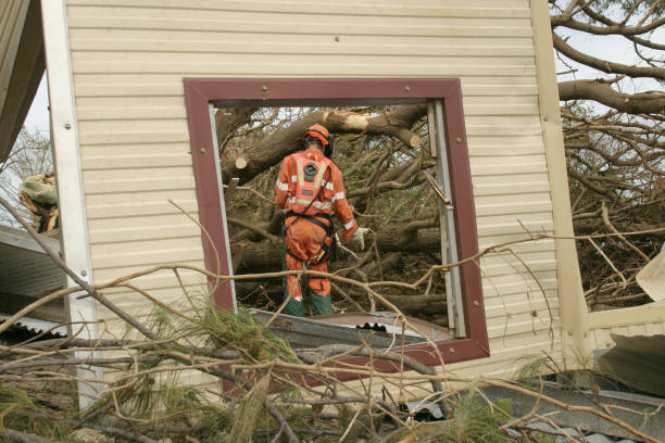 How Our Tree Care Process Works  in  Price, UT